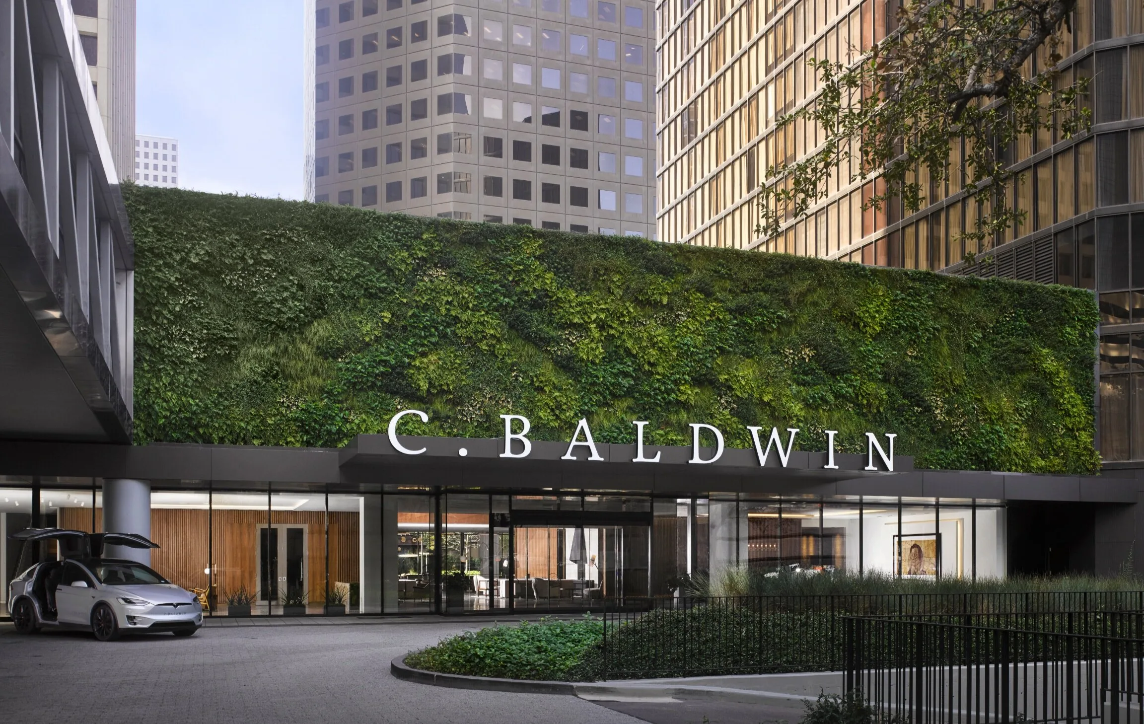 The C.Baldwin Hotel — work by Lauren French